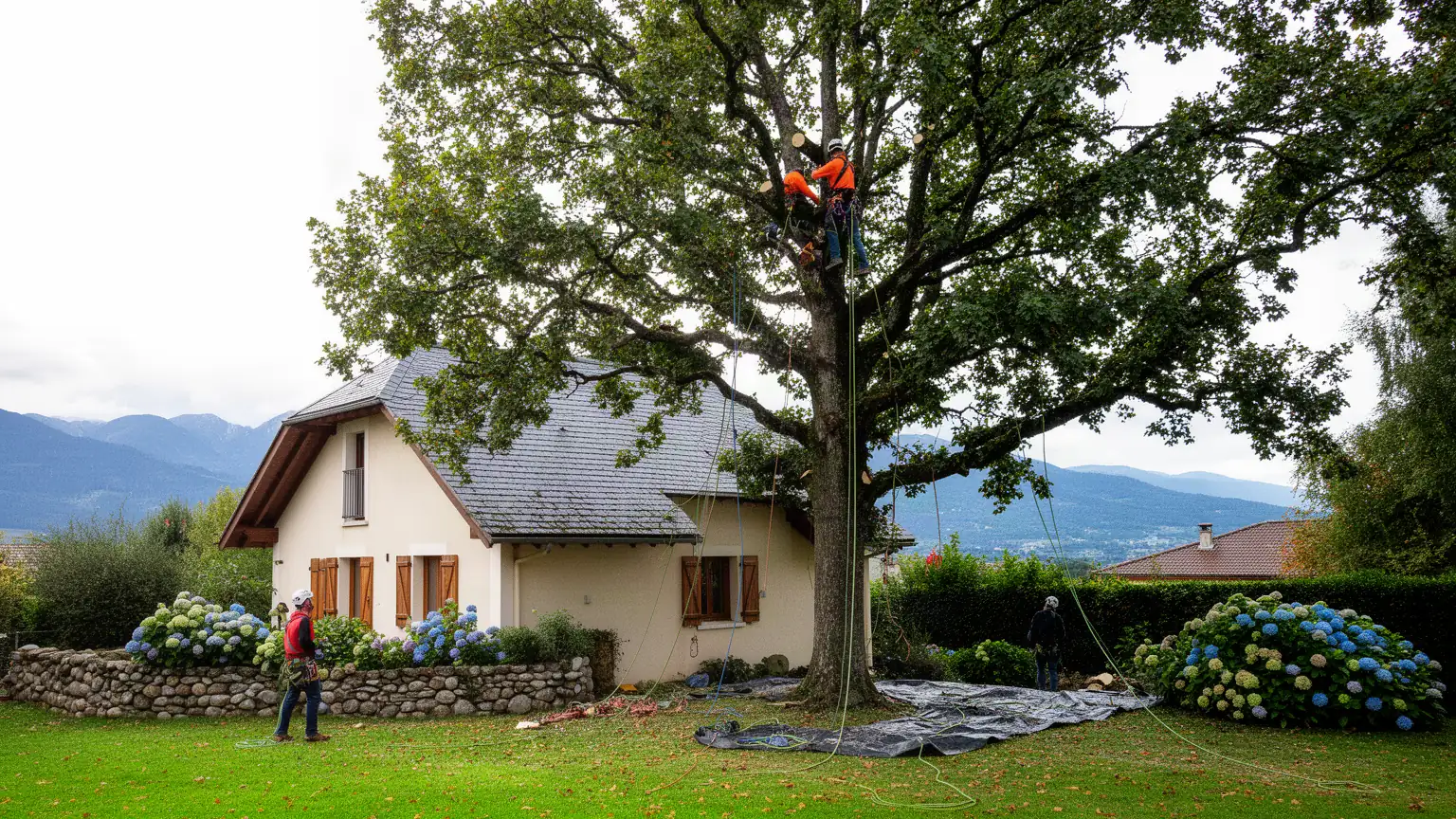 Prix et tarifs d'un élagage à Pau — combien coûte un élagueur ?