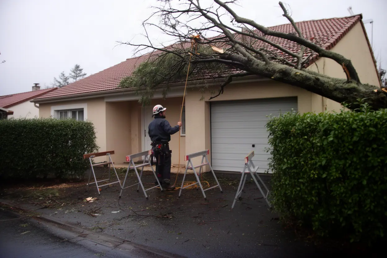 Élagueur sécurisant une branche cassée après tempête à Idron