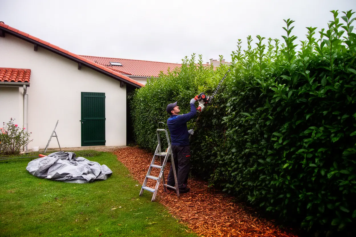 Jardinier taillant une longue haie mitoyenne dans Idron