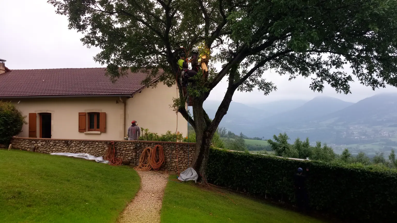 Élagueur professionnel à Jurançon et agglomération paloise